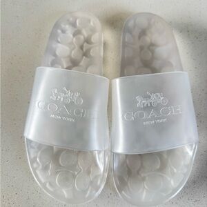 Coach Transparent Slides